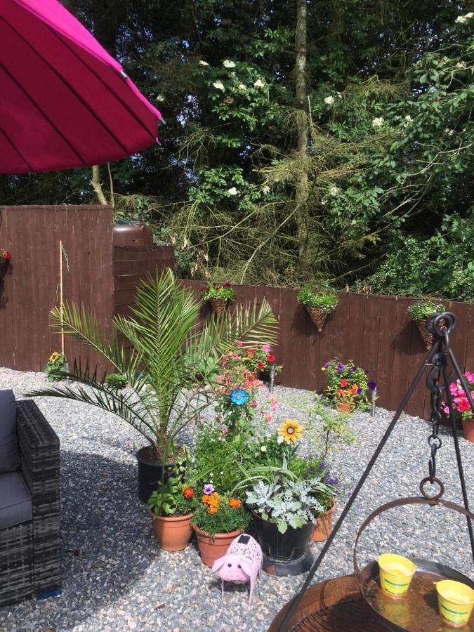 Bankhead Steading Accommodation Aberdeenshire Gamrie Екстериор снимка